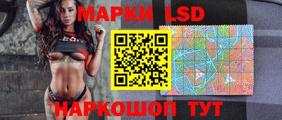 винт Можга
