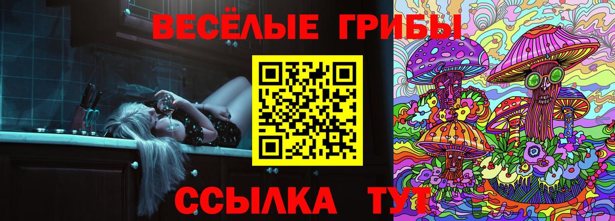 Псилоцибиновые грибы мицелий Апатиты