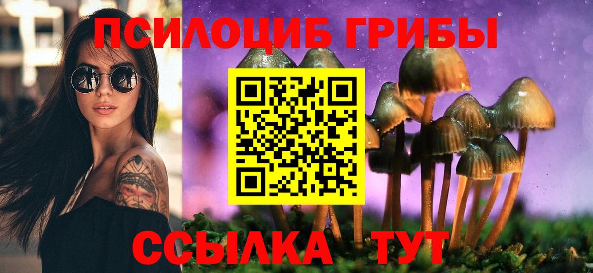 Галлюциногенные грибы Psilocybine cubensis  Вход с VPN  Псилоцибиновые грибы GOLDEN TEACHER  Апатиты 
